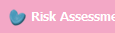 Risk Assessment
